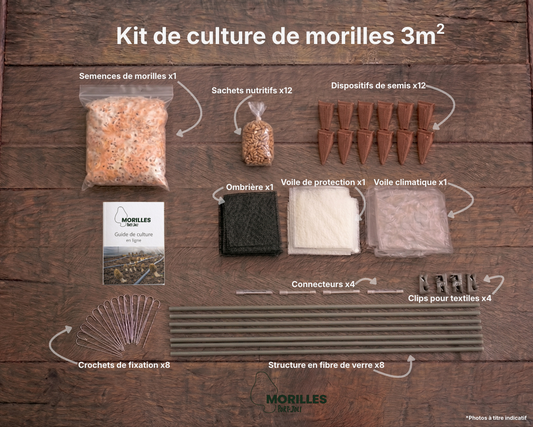 Kit complet de culture de la Morille fraîche du Québec – Solution clé en main – 3 m²